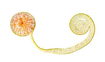 Orange peel fruit isolated on white background photo