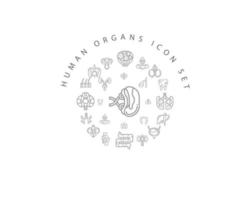 diseño de conjunto de iconos de órganos humanos sobre fondo blanco. vector