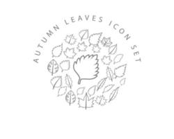 Autumn leaves icon set design on white background. vector