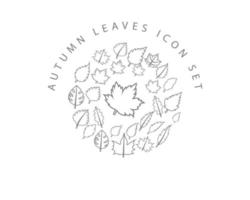 Autumn leaves icon set design on white background. vector