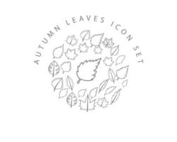 Autumn leaves icon set design on white background. vector