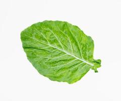 leaves of collards on background,Chinese kale photo