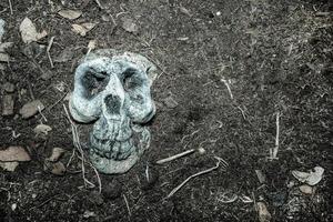 skull in graveyard, filter effect. photo