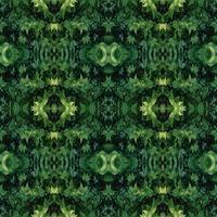 patrón de hojas verdes con gota de agua, fondo de hoja de planta de otoño, patrón sin costuras foto