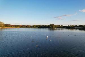 lindos pájaros acuáticos nadando, imágenes del lago willen y el parque que se encuentra en milton keynes, inglaterra. la gente disfruta en el lago en un caluroso día soleado de verano. videoclip capturado el 21-8-2022 foto