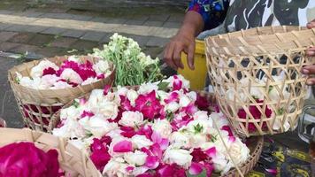 sow flower seller is packing in the basket. video