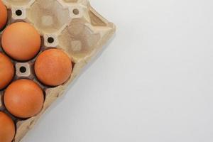 Chicken raw eggs in paper egg panel or in an egg stall on white background. photo