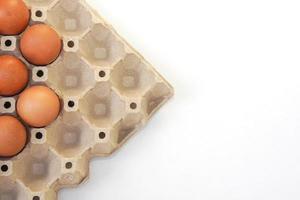 Chicken raw eggs in paper egg panel or in an egg stall on white background. photo