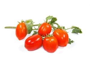 Fresh tomato on a white background photo