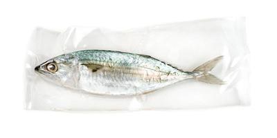 Caballa pescado fresco con bolsa de plástico al vacío aislado sobre fondo blanco. foto