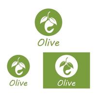Olive oil logo nature vector