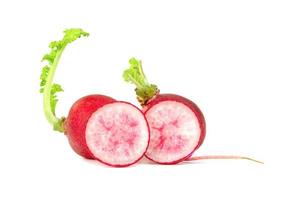 small red radish isolated on white background photo