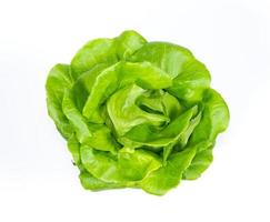 butterhead lettuce vegetable on white background photo