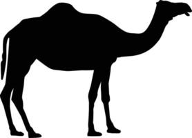 camel icon on white background. camel sign. flat style. vector