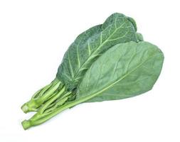 leaves of collards on background,Chinese kale photo