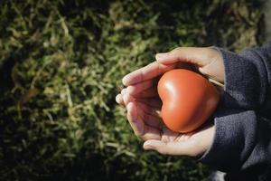 A hand holding red heart.She is Left or right hand holding it on green background.heart health,happy volunteer charity,The photo shows the principle of caring and good health.