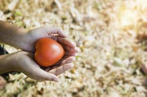 A hand holding red heart.She is Left or right hand holding it on green background.heart health,happy volunteer charity,The photo shows the principle of caring and good health.