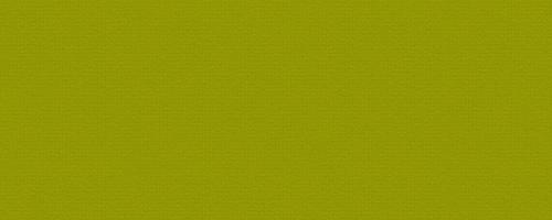 Green Paper Texture Canvas Background photo