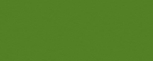 Green Paper Texture Canvas Background photo