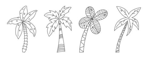 Hand drawn palm trees doodle set. Set of hand drawn coconut tree Isolated on white background. vector illustration