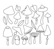 Mushroom set. Background coloring with mushrooms. Linear drawing of mushrooms in doodle style. Hand style. Cute mushrooms. vector