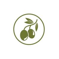 Olive tree vector illustration