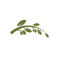 Olive tree vector illustration