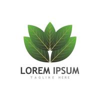 Leaf tree green logo vector