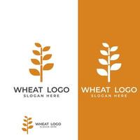 logotipo de trigo o cereal, campo de trigo y logotipo de granja de trigo. Con ilustraciones de edición fáciles y sencillas. vector