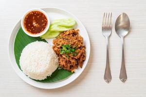 spicy grilled pork with rice photo