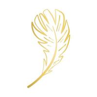 Golden decorative feather for creating invitations and cards vector