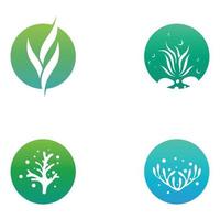 Seaweed logo with template illustration vector design.