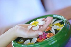 female hand and flower in water photo