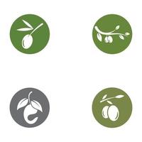 Olive oil logo nature vector