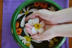 female hand and flower in water photo