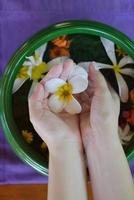 female hand and flower in water photo