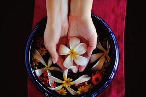 female hand and flower in water photo