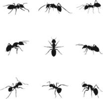 silhouette ant set bundle - free vector