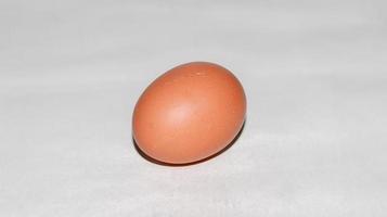 huevo marrón en una caja de huevos - huevos de gallina en una caja foto