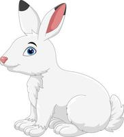 Cute little bunny cartoon vector