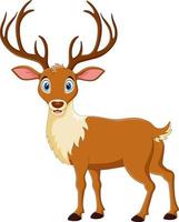 Cute deer cartoon on white background vector