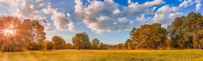 colorido amanecer de otoño en la pradera. paisaje natural panorámico, colores pastel suaves, naturaleza de ensueño, fondo otoñal al atardecer. campo forestal, prado de hierba dorada de primer plano. panorama asombroso de la naturaleza pacífica foto