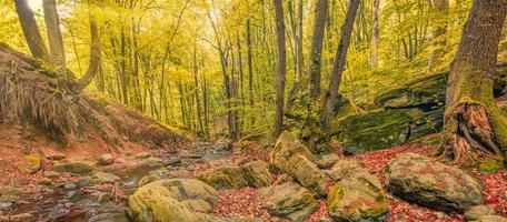 otoño arroyo bosque con árboles amarillos soleados follaje rocas en la montaña del bosque. idílico paisaje de senderismo, hermosa naturaleza otoñal estacional. increíble sueño escénico colorido al aire libre inspirar naturaleza foto