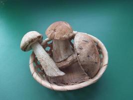 Fresh forest edible mushrooms on green background photo