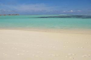 tropical beach landscape photo