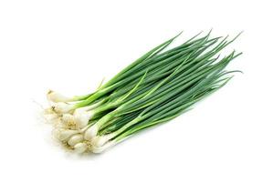 leaf spring onion isolated on white background ,Green leaves pattern photo