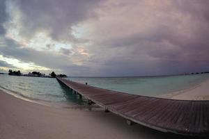 tropical beach landscape photo