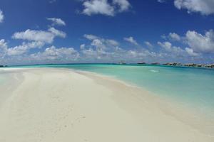 tropical beach landscape photo