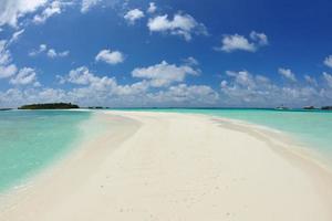 tropical beach landscape photo