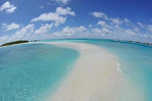 tropical beach landscape photo